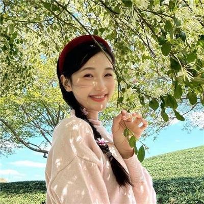 迷离档案国语 在线观看